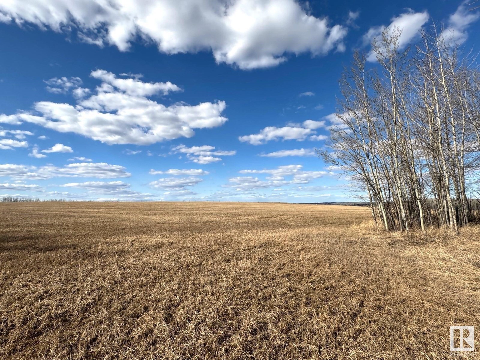 9326 Twp Rd 550, Rural Yellowhead, Alberta  T0E 2M0 - Photo 36 - E4433513