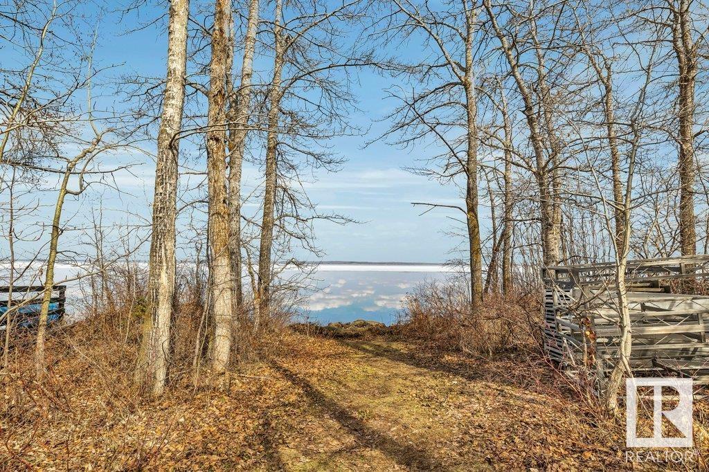 24 Lakeshore Drive, S.v. Grandview, Rural Wetaskiwin County, Alberta  T0C 2V0 - Photo 31 - E4433584