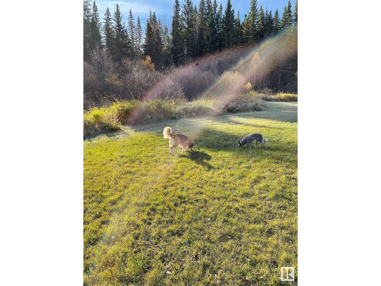 11128 Highway 16, Rural Yellowhead, Alberta  T0E 1S0 - Photo 35 - E4434398