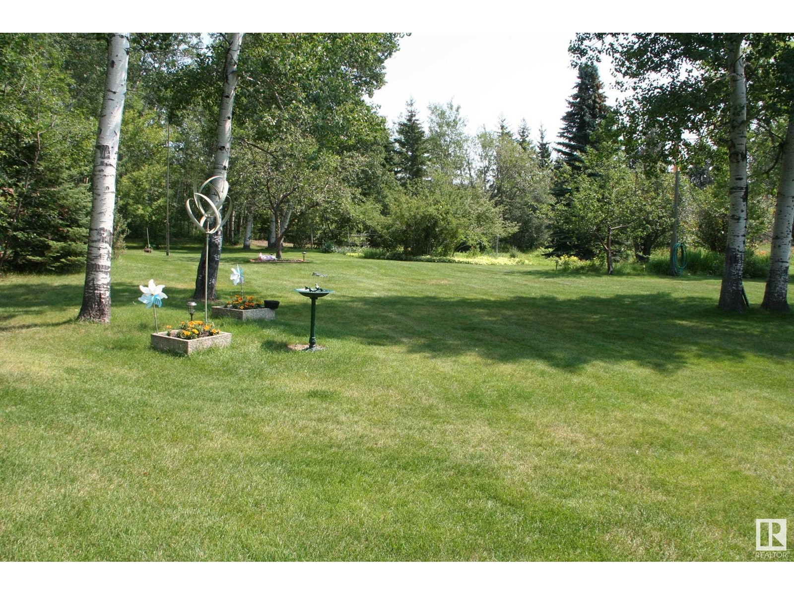 5302 32 St, Rural Wetaskiwin County, Alberta  T0C 2C0 - Photo 8 - E4434441