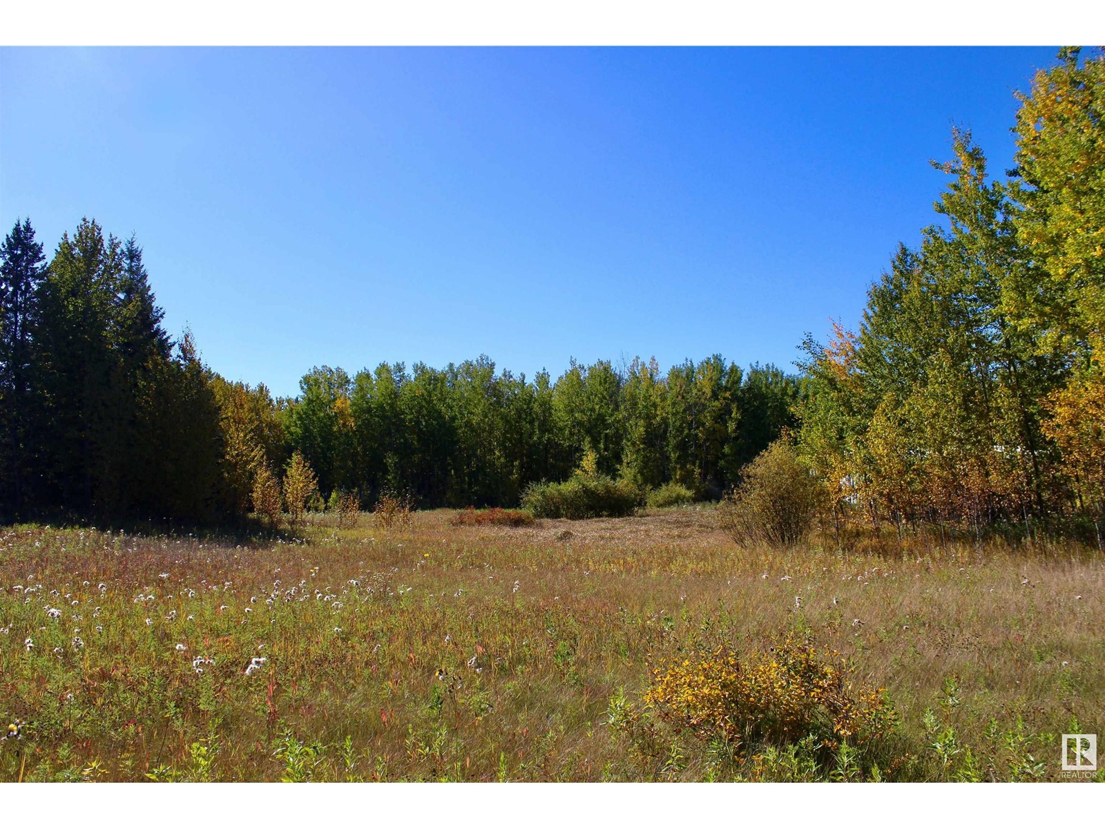#113 50529 Rge Road 21, Rural Parkland County, Alberta  T0E 2N4 - Photo 1 - E4434531