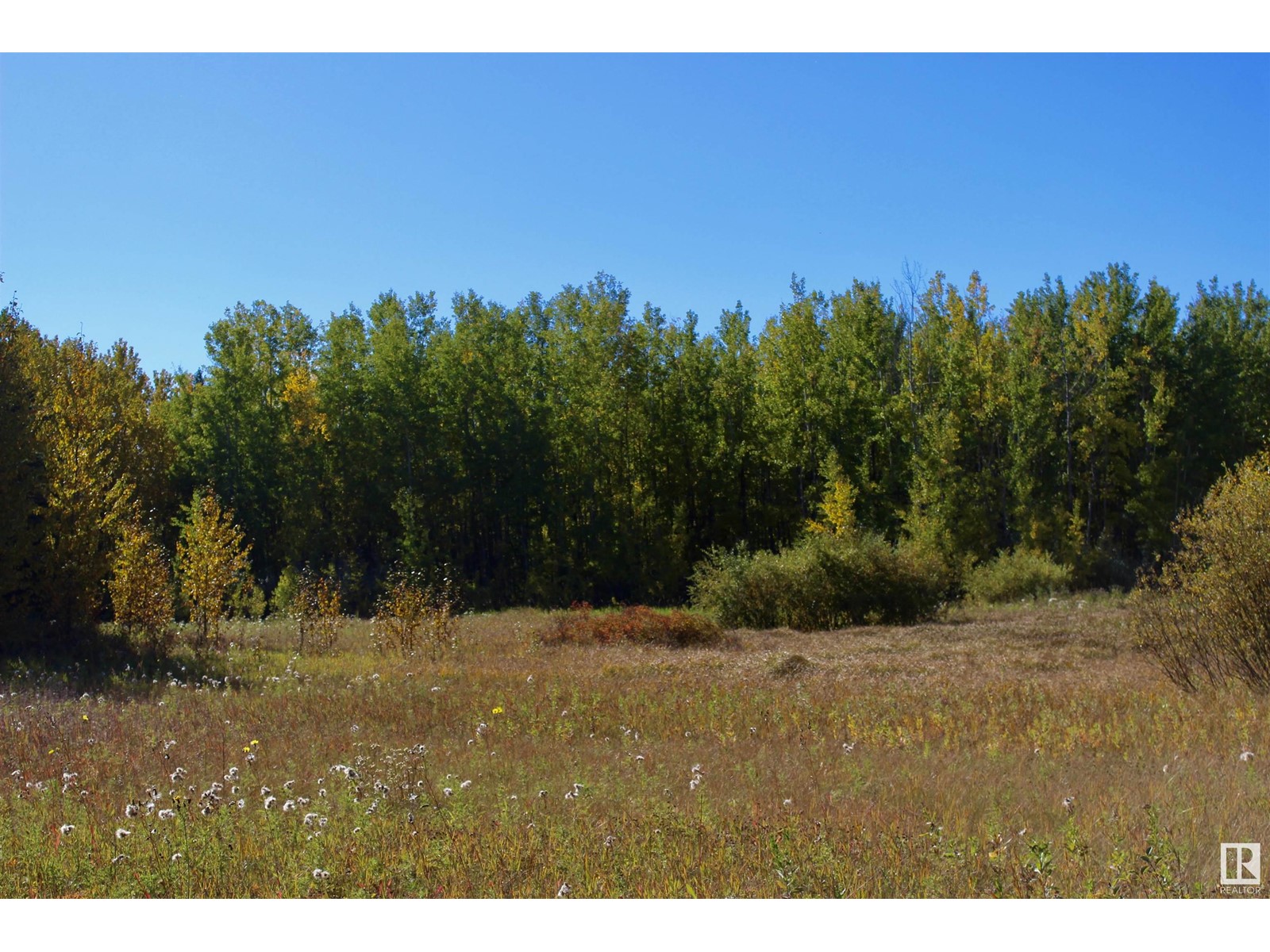 #113 50529 Rge Road 21, Rural Parkland County, Alberta  T0E 2N4 - Photo 10 - E4434531