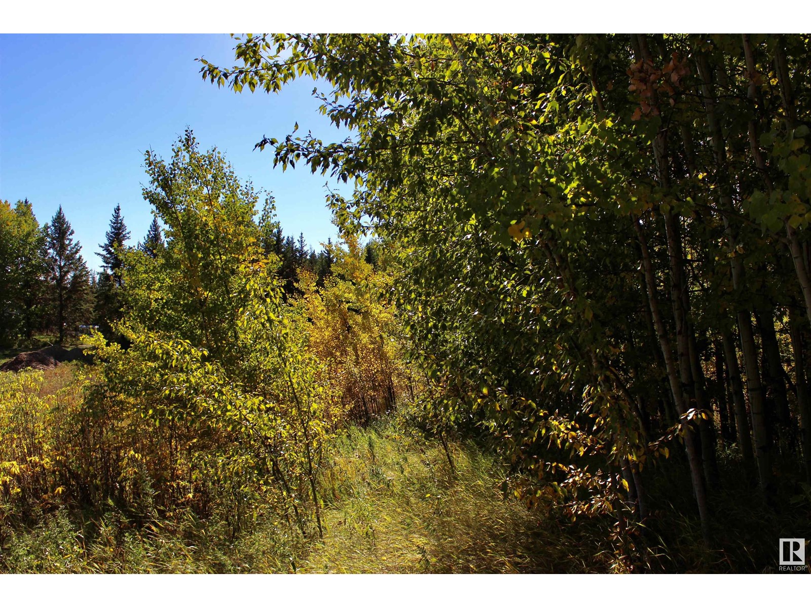 #113 50529 Rge Road 21, Rural Parkland County, Alberta  T0E 2N4 - Photo 12 - E4434531