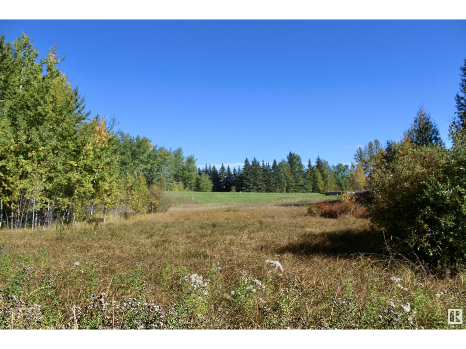 #113 50529 Rge Road 21, Rural Parkland County, Alberta  T0E 2N4 - Photo 13 - E4434531
