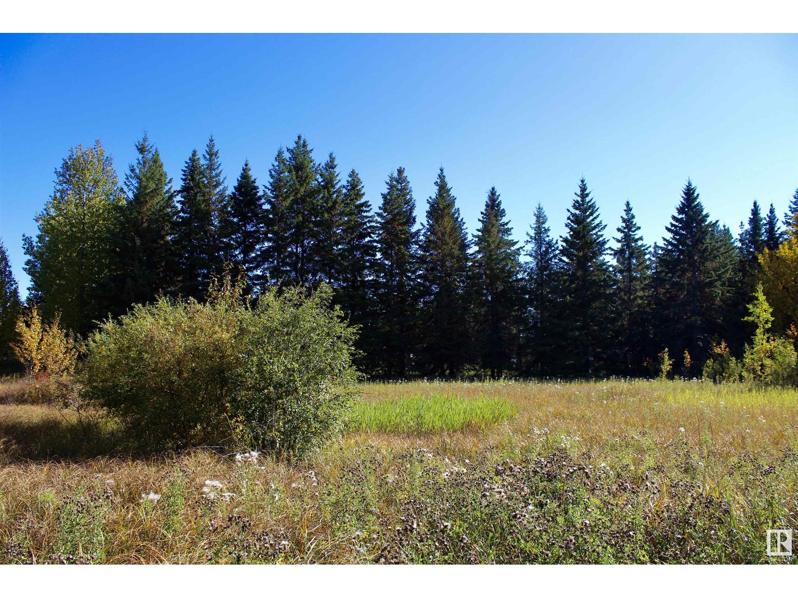 #113 50529 Rge Road 21, Rural Parkland County, Alberta  T0E 2N4 - Photo 3 - E4434531