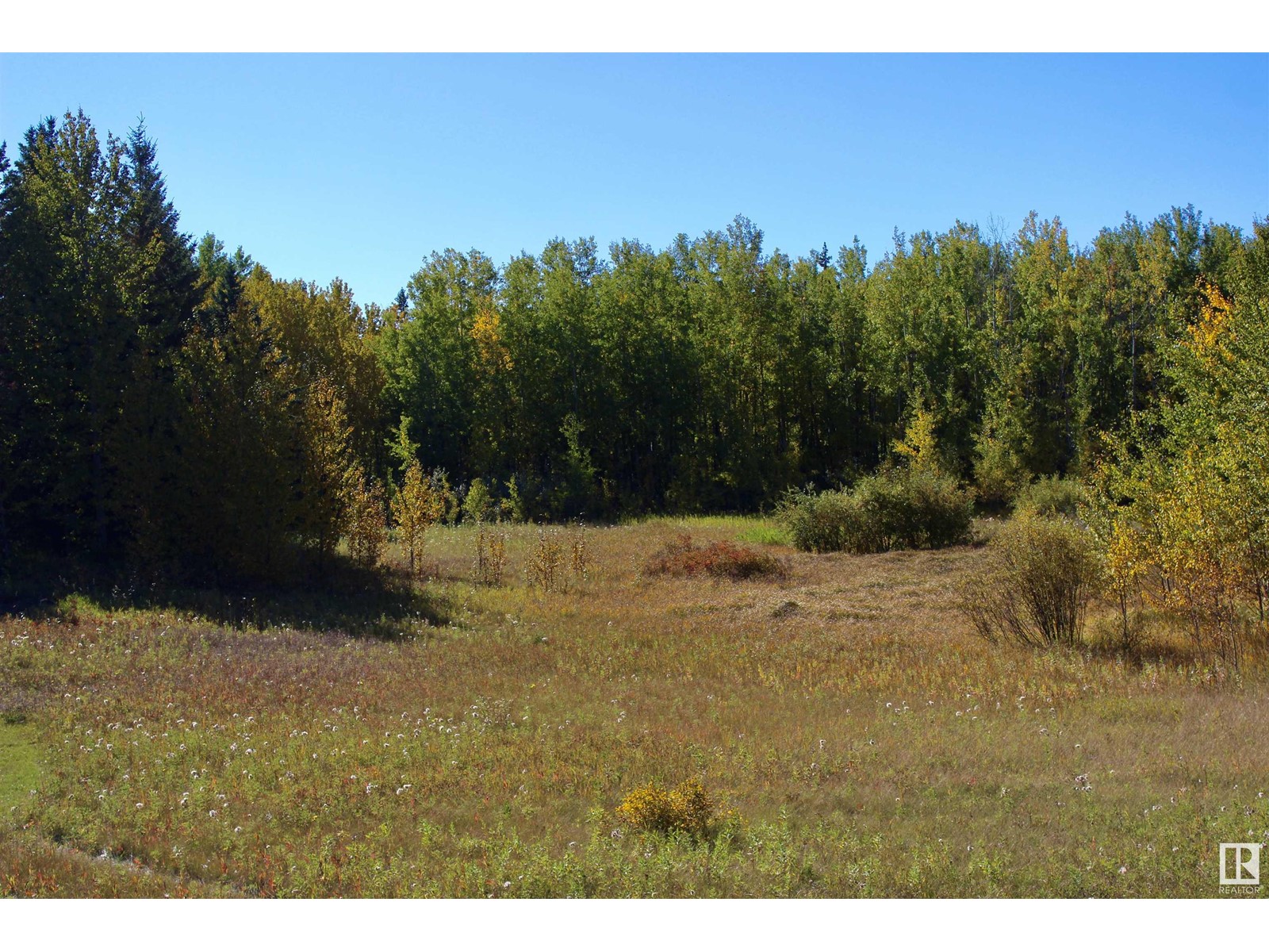 #113 50529 Rge Road 21, Rural Parkland County, Alberta  T0E 2N4 - Photo 6 - E4434531
