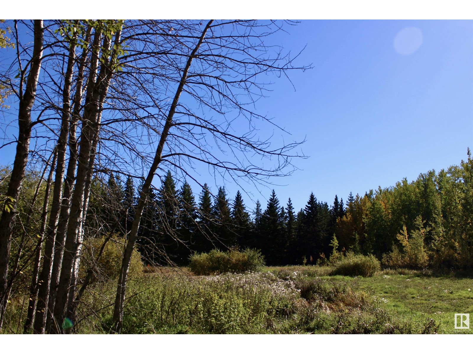 #113 50529 Rge Road 21, Rural Parkland County, Alberta  T0E 2N4 - Photo 7 - E4434531