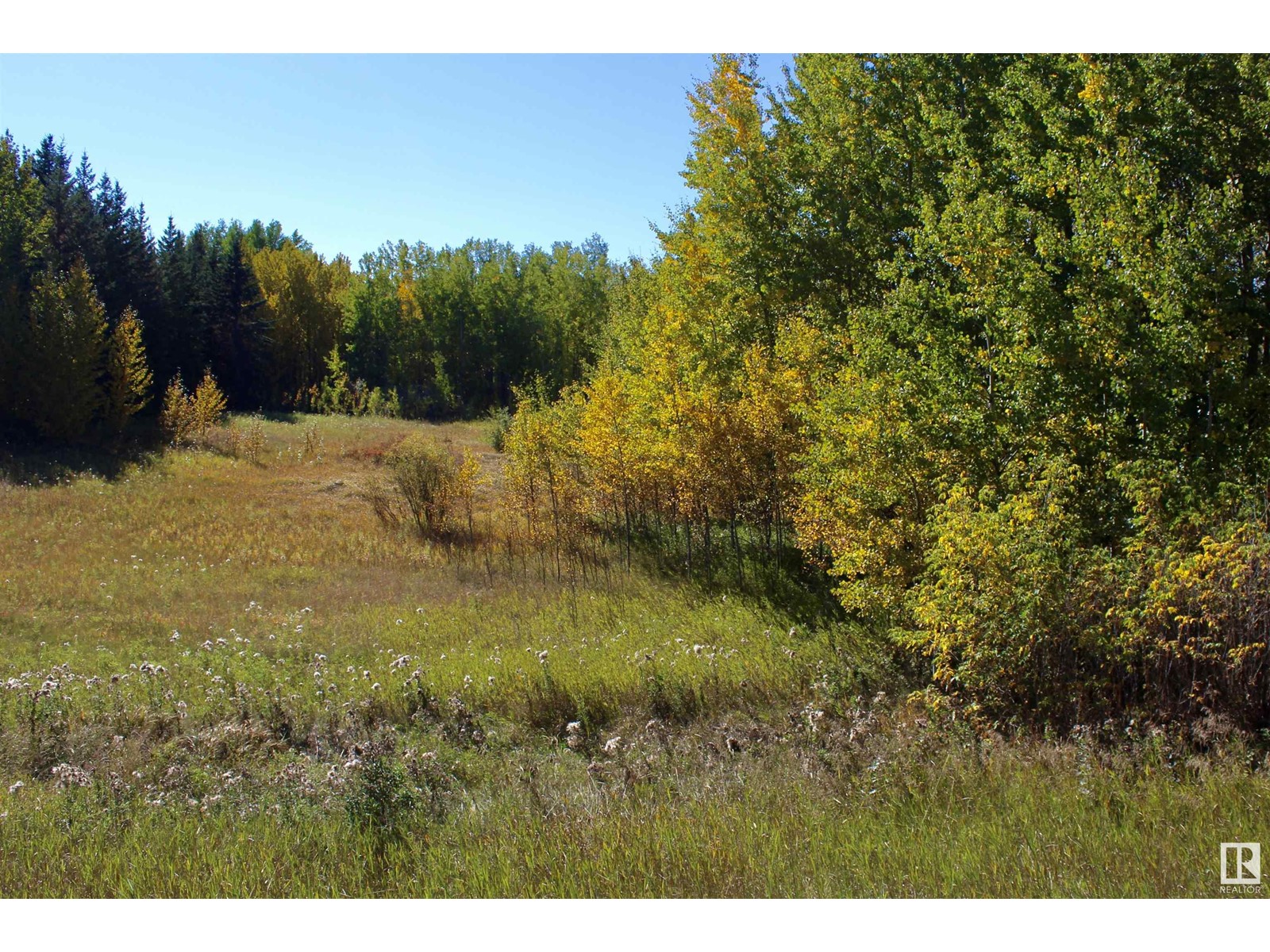 #113 50529 Rge Road 21, Rural Parkland County, Alberta  T0E 2N4 - Photo 9 - E4434531