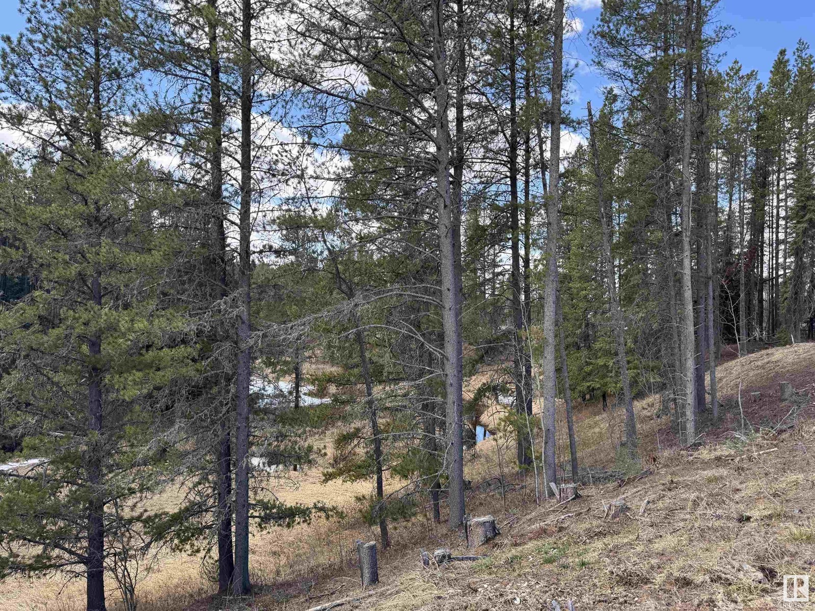 450059b,c,d Hwy 22, Rural Wetaskiwin County, Alberta  T0C 0T0 - Photo 62 - E4434532