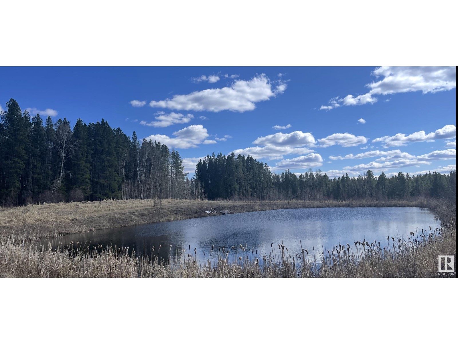 450059b,c,d Hwy 22, Rural Wetaskiwin County, Alberta  T0C 0T0 - Photo 72 - E4434532