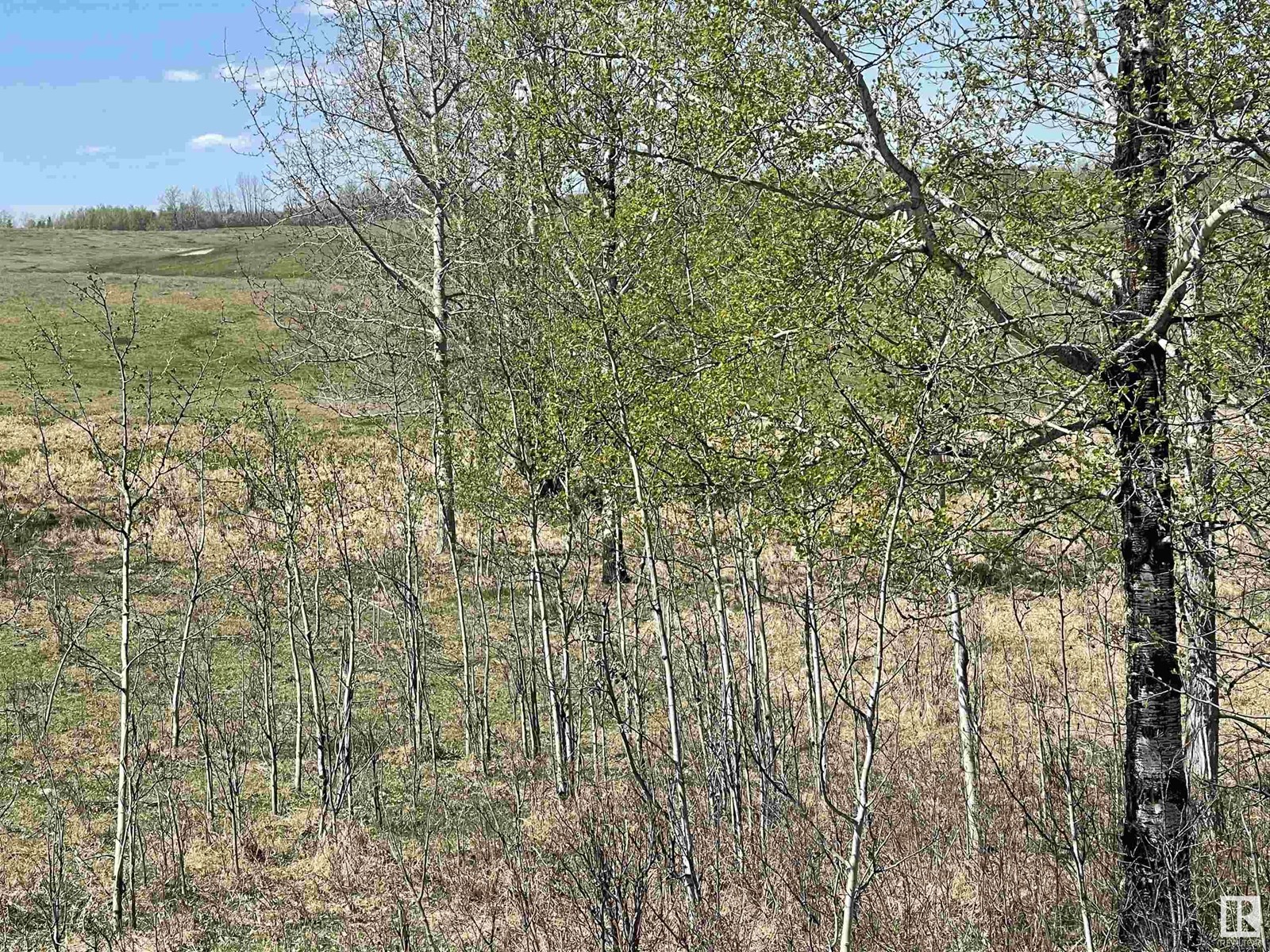 54018 Rr 51, Rural Lac Ste. Anne County, Alberta  T0E 0L0 - Photo 1 - E4434866