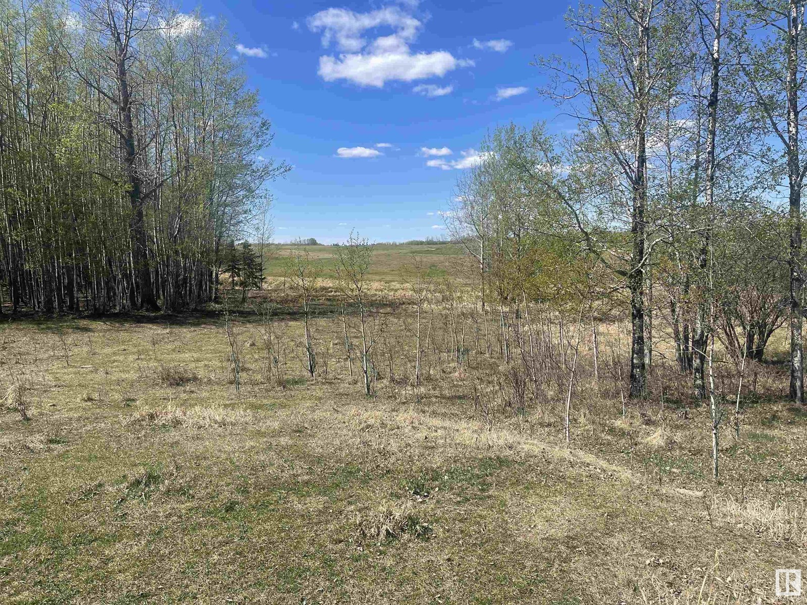 54018 Rr 51, Rural Lac Ste. Anne County, Alberta  T0E 0L0 - Photo 5 - E4434866