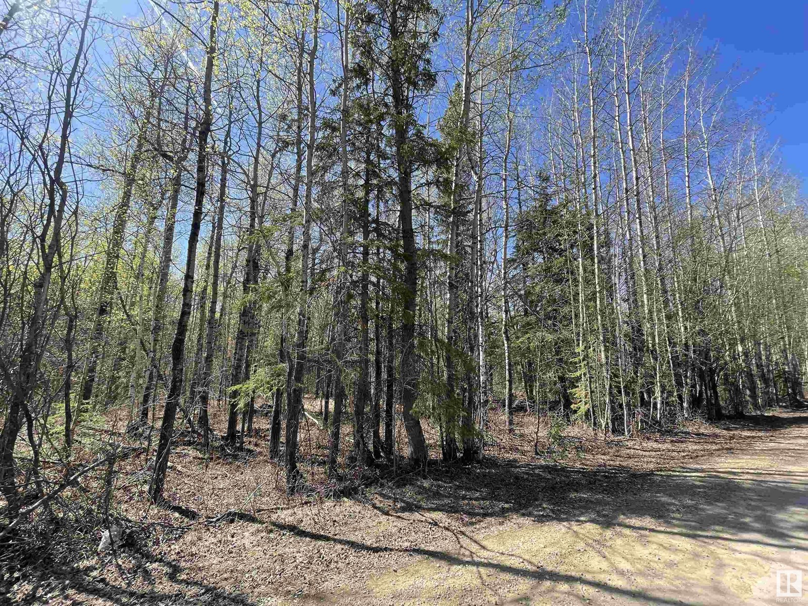 4 Byrr Anne Estates, Rural Wetaskiwin County, Alberta  T0C 2V0 - Photo 2 - E4434878