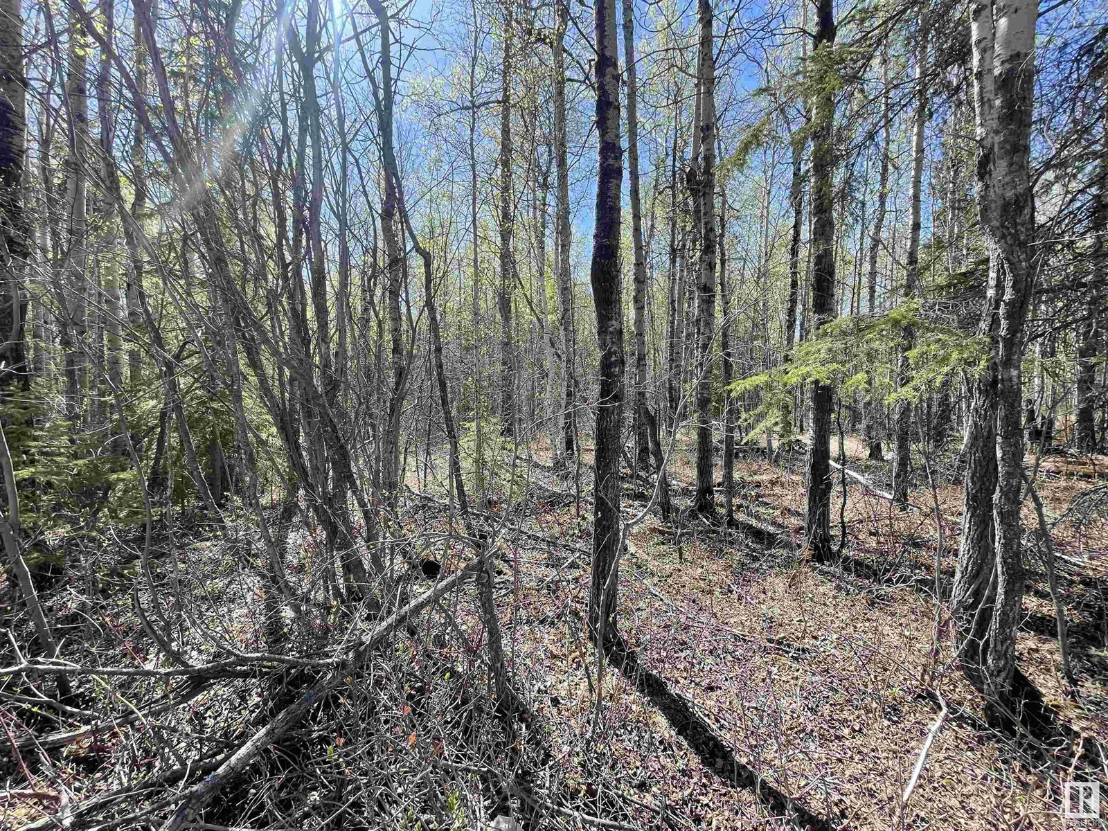 4 Byrr Anne Estates, Rural Wetaskiwin County, Alberta  T0C 2V0 - Photo 3 - E4434878