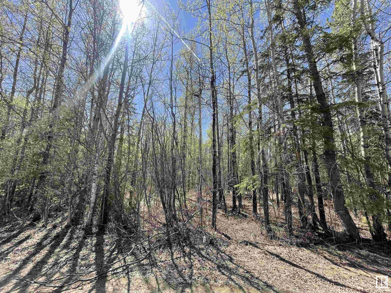 4 Byrr Anne Estates, Rural Wetaskiwin County, Alberta  T0C 2V0 - Photo 4 - E4434878
