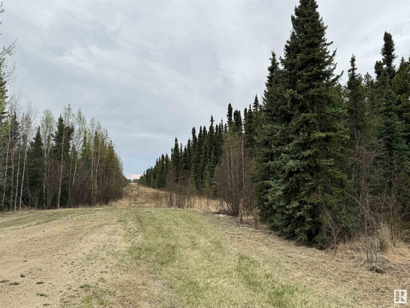 Rr91 & Twp 532 Wildwood, Rural Yellowhead, Alberta  T0E 0T0 - Photo 5 - E4434966
