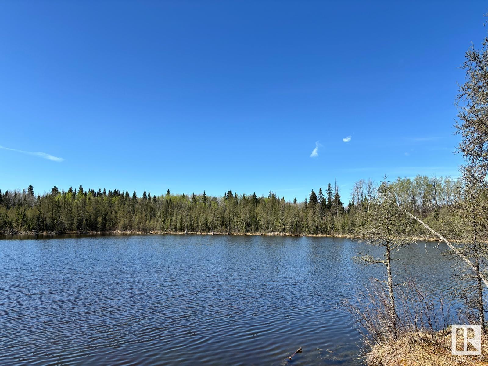 48417 Range Road 51a, Rural Brazeau County, Alberta  T0C 0W0 - Photo 54 - E4434987