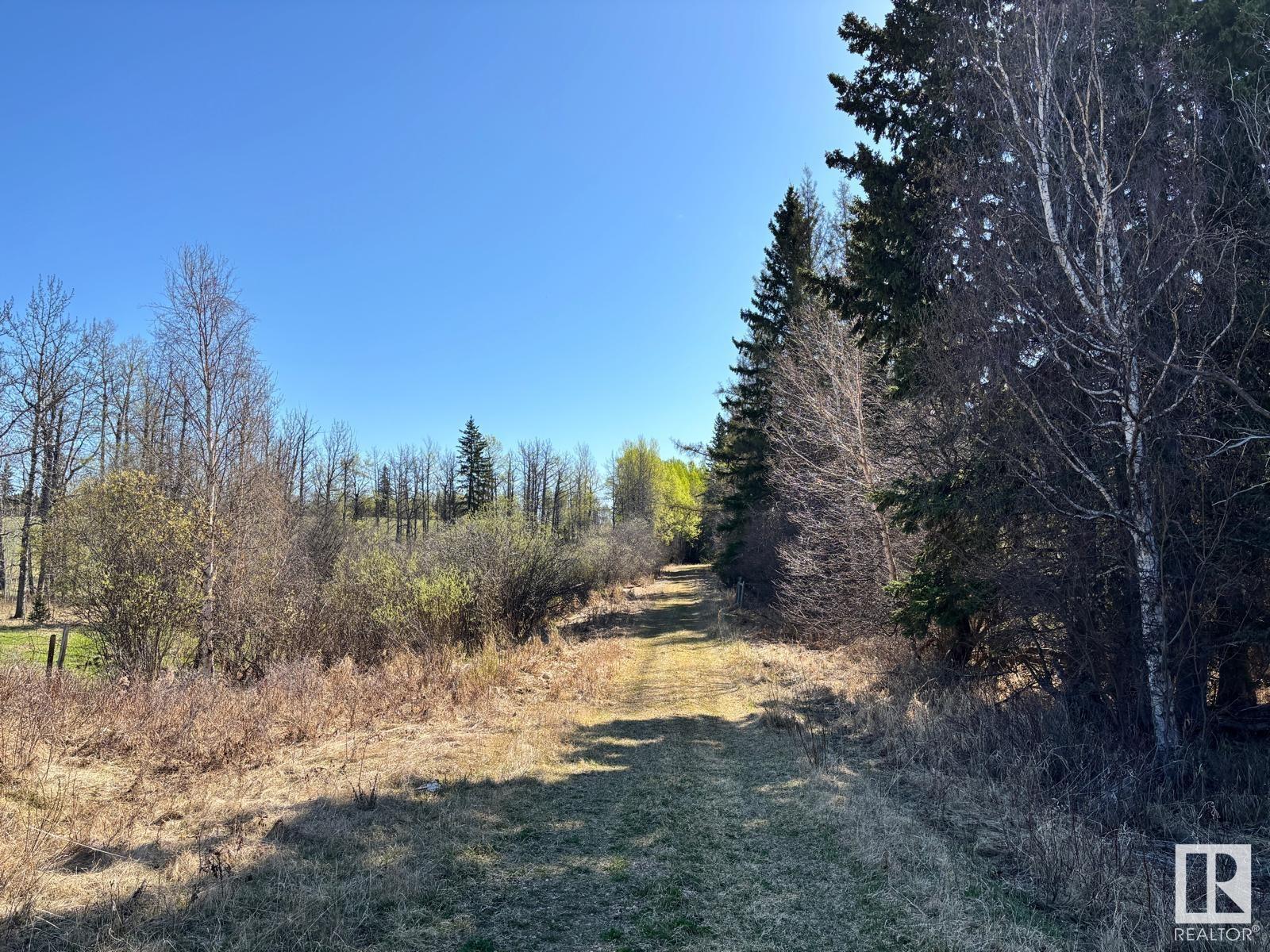 48417 Range Road 51a, Rural Brazeau County, Alberta  T0C 0W0 - Photo 59 - E4434987