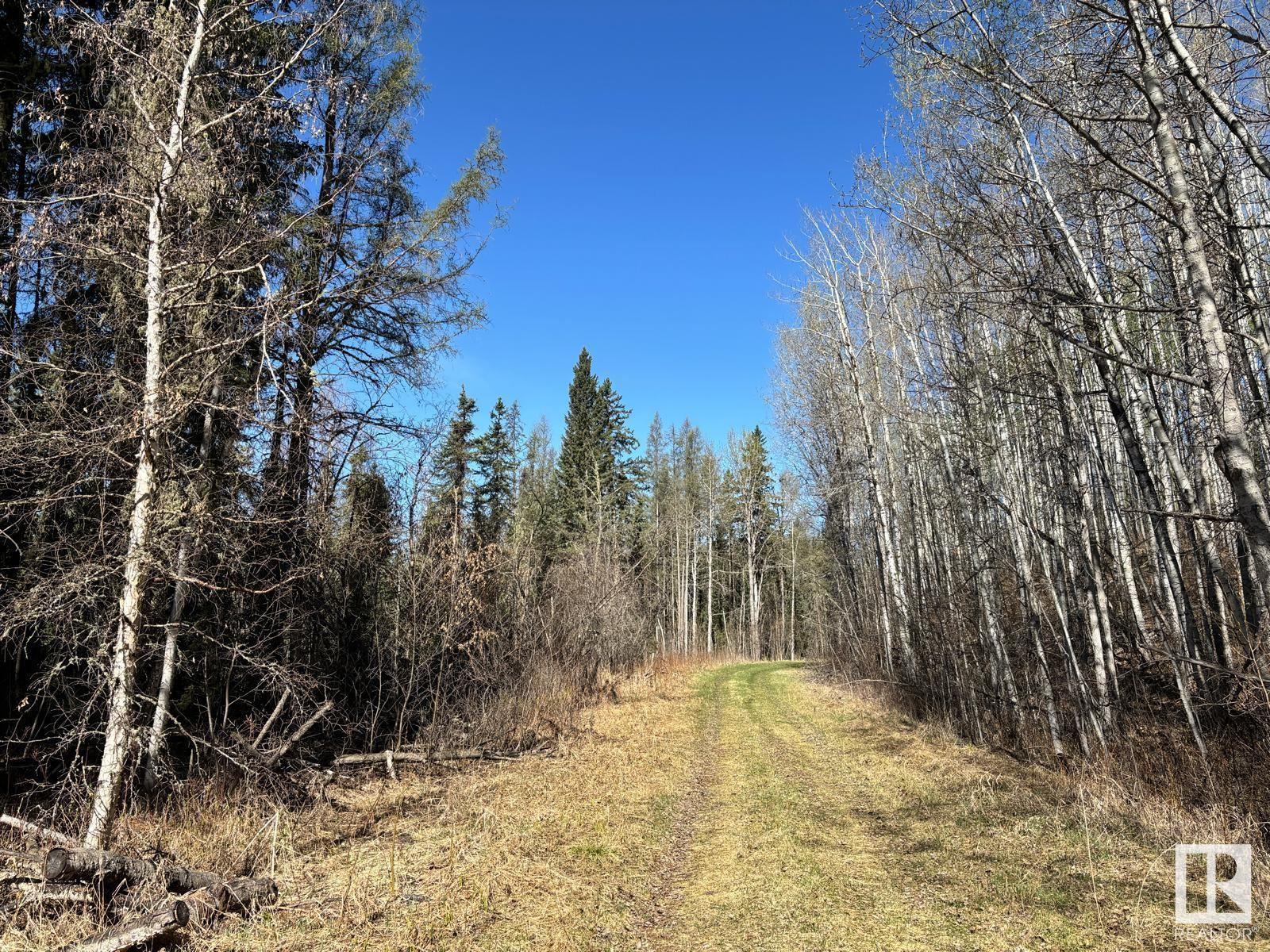 48417 Range Road 51a, Rural Brazeau County, Alberta  T0C 0W0 - Photo 60 - E4434987