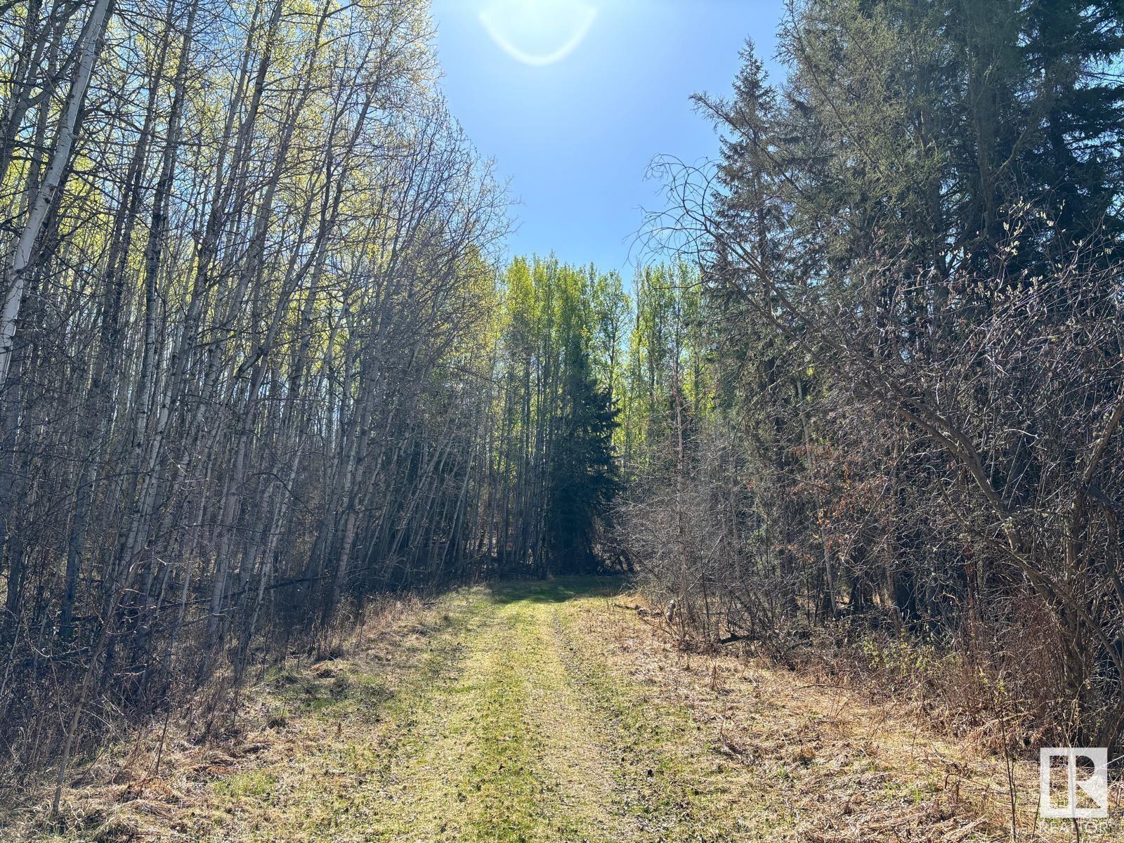 48417 Range Road 51a, Rural Brazeau County, Alberta  T0C 0W0 - Photo 61 - E4434987