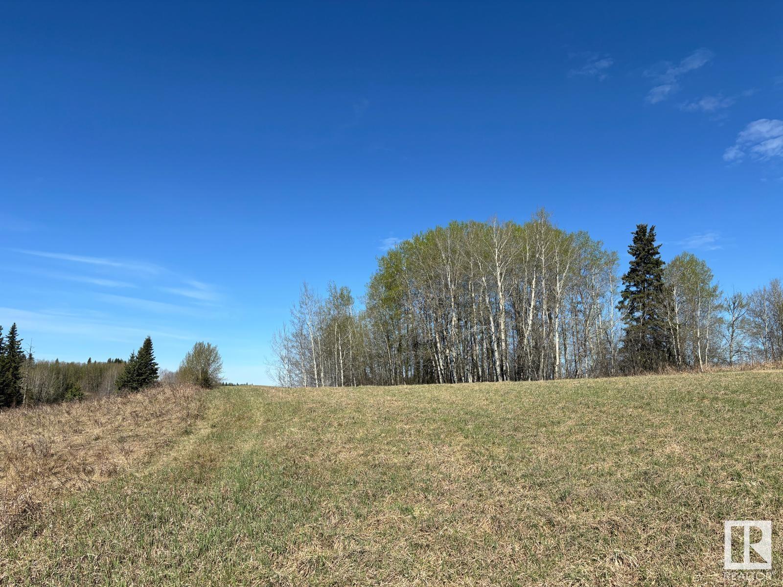 48417 Range Road 51a, Rural Brazeau County, Alberta  T0C 0W0 - Photo 62 - E4434987