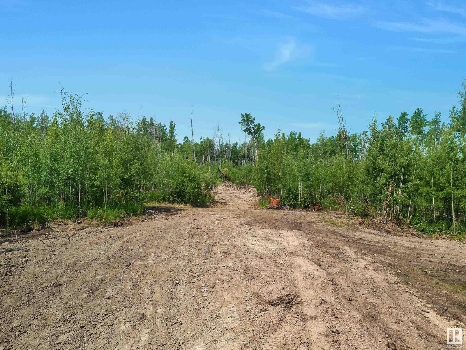 801 Glen Haven Cr, Rural Wetaskiwin County, Alberta  T0C 2C0 - Photo 9 - E4435942