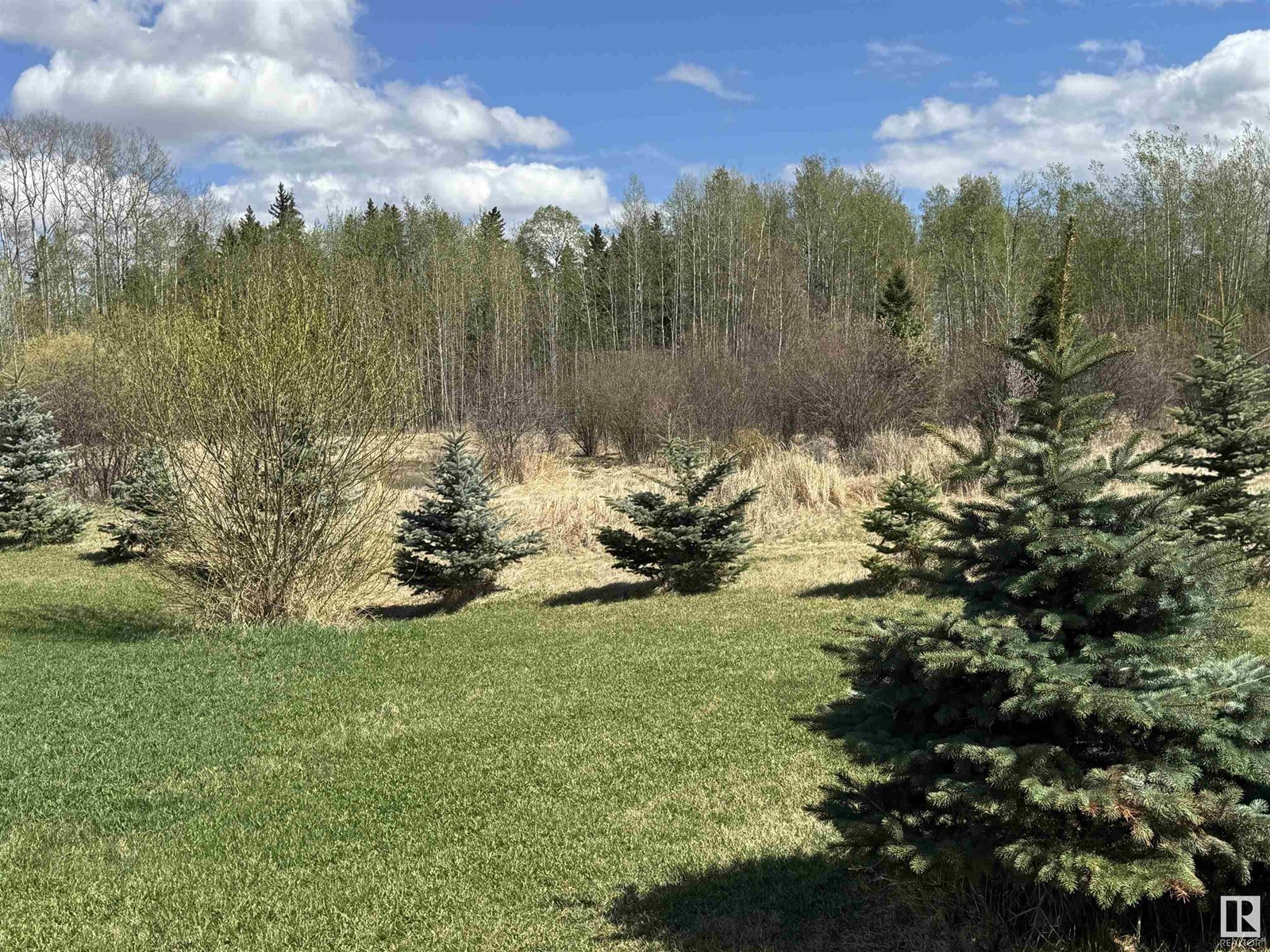 #201 62002 Twp 462a, Rural Wetaskiwin County, Alberta  T0C 0T0 - Photo 15 - E4436056