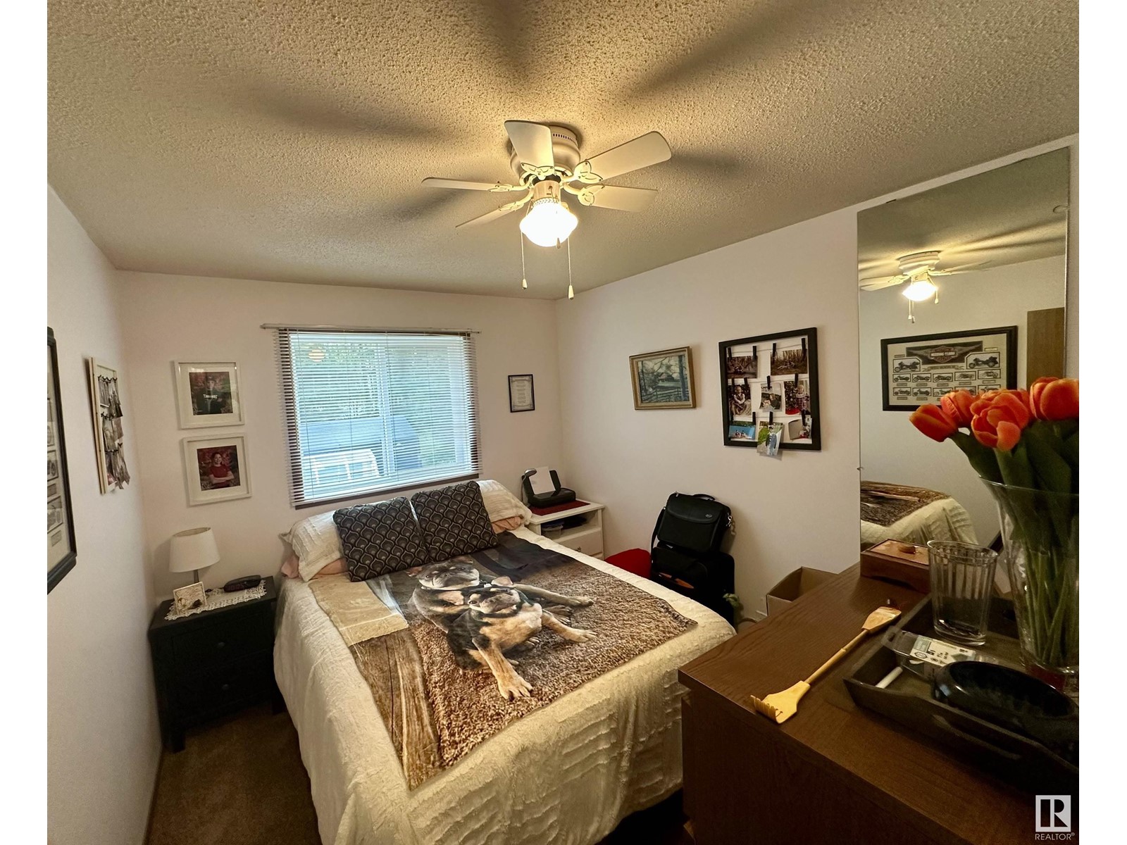 4713 50 Ave, Violet Grove, Alberta  T7A 2A1 - Photo 19 - E4436066