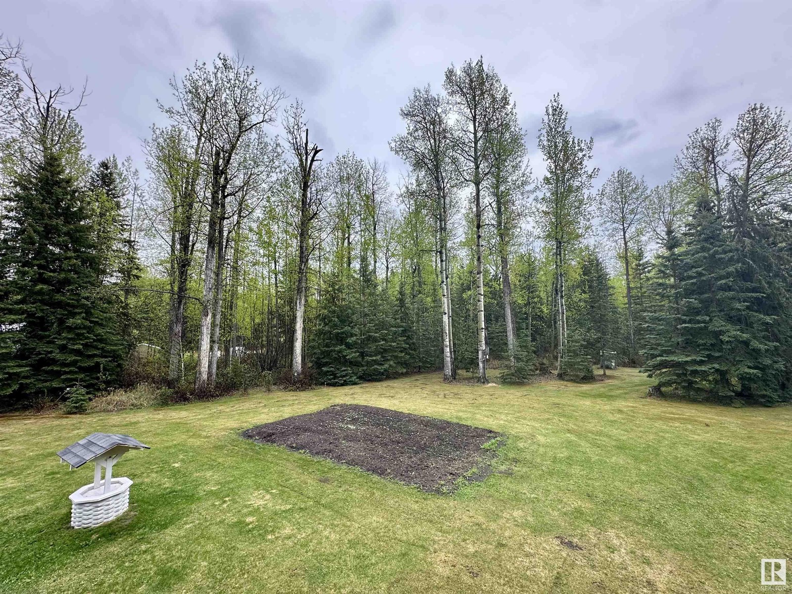 4713 50 Ave, Violet Grove, Alberta  T7A 2A1 - Photo 42 - E4436066