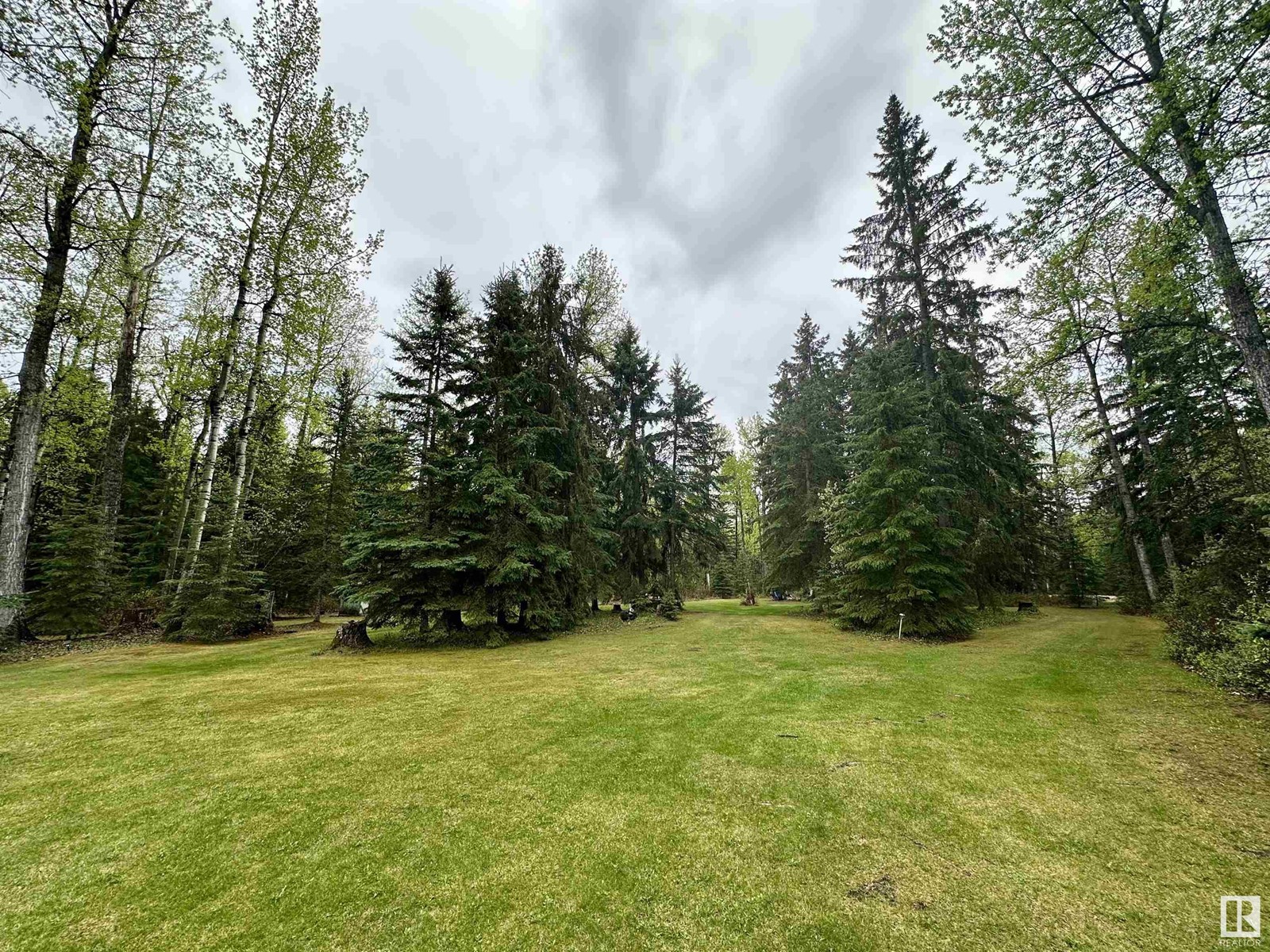 4713 50 Ave, Violet Grove, Alberta  T7A 2A1 - Photo 45 - E4436066