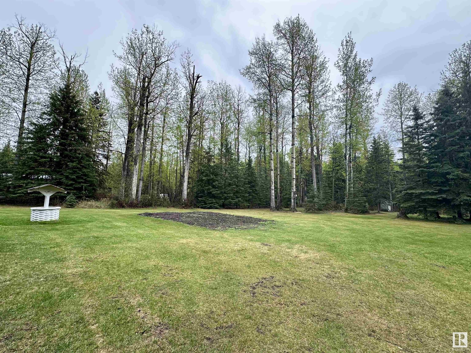4713 50 Ave, Violet Grove, Alberta  T7A 2A1 - Photo 46 - E4436066