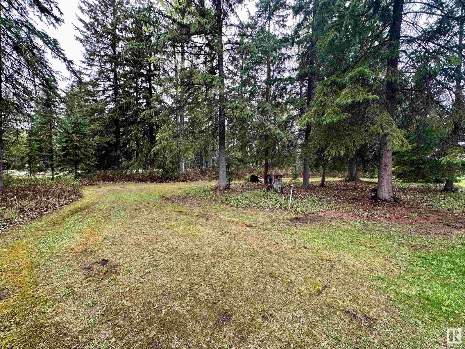 4713 50 Ave, Violet Grove, Alberta  T7A 2A1 - Photo 50 - E4436066