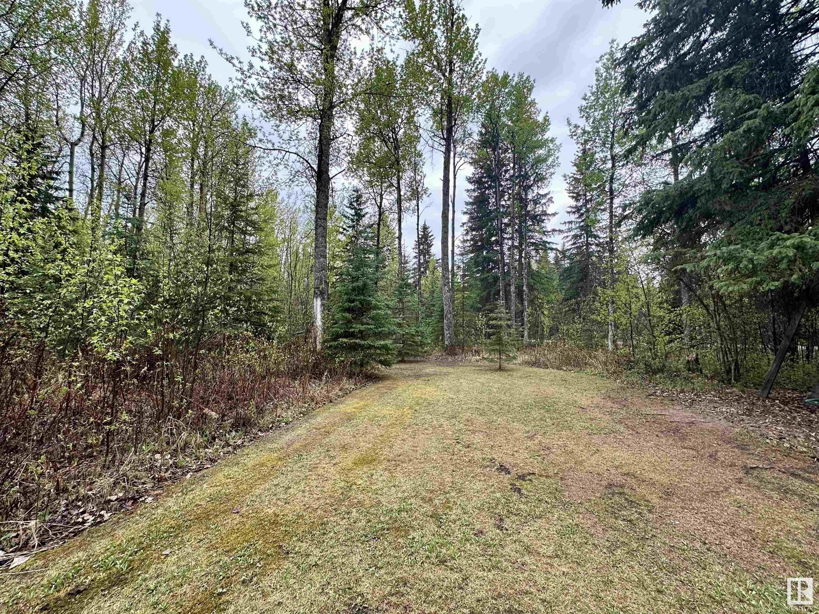 4713 50 Ave, Violet Grove, Alberta  T7A 2A1 - Photo 51 - E4436066