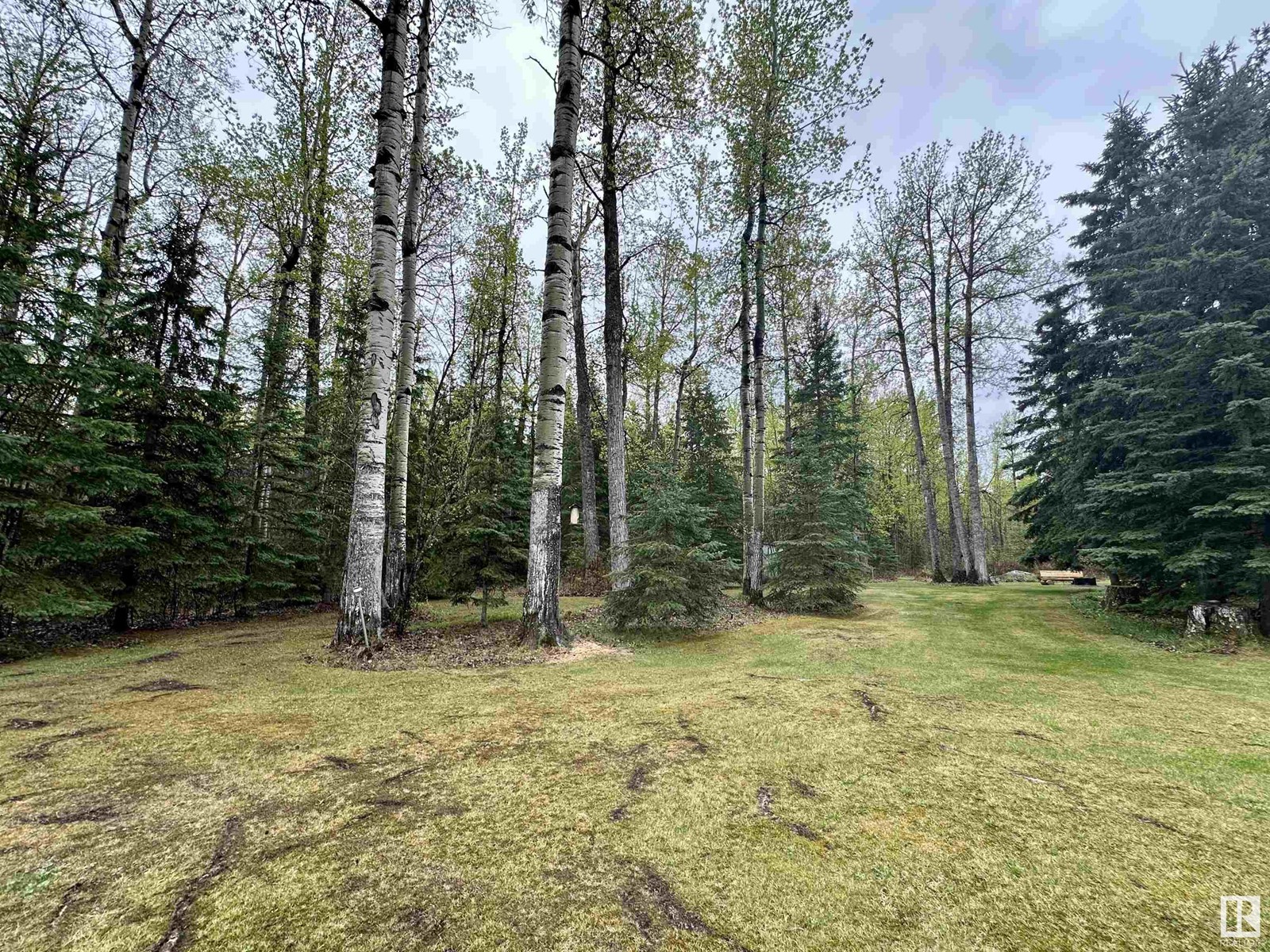 4713 50 Ave, Violet Grove, Alberta  T7A 2A1 - Photo 52 - E4436066