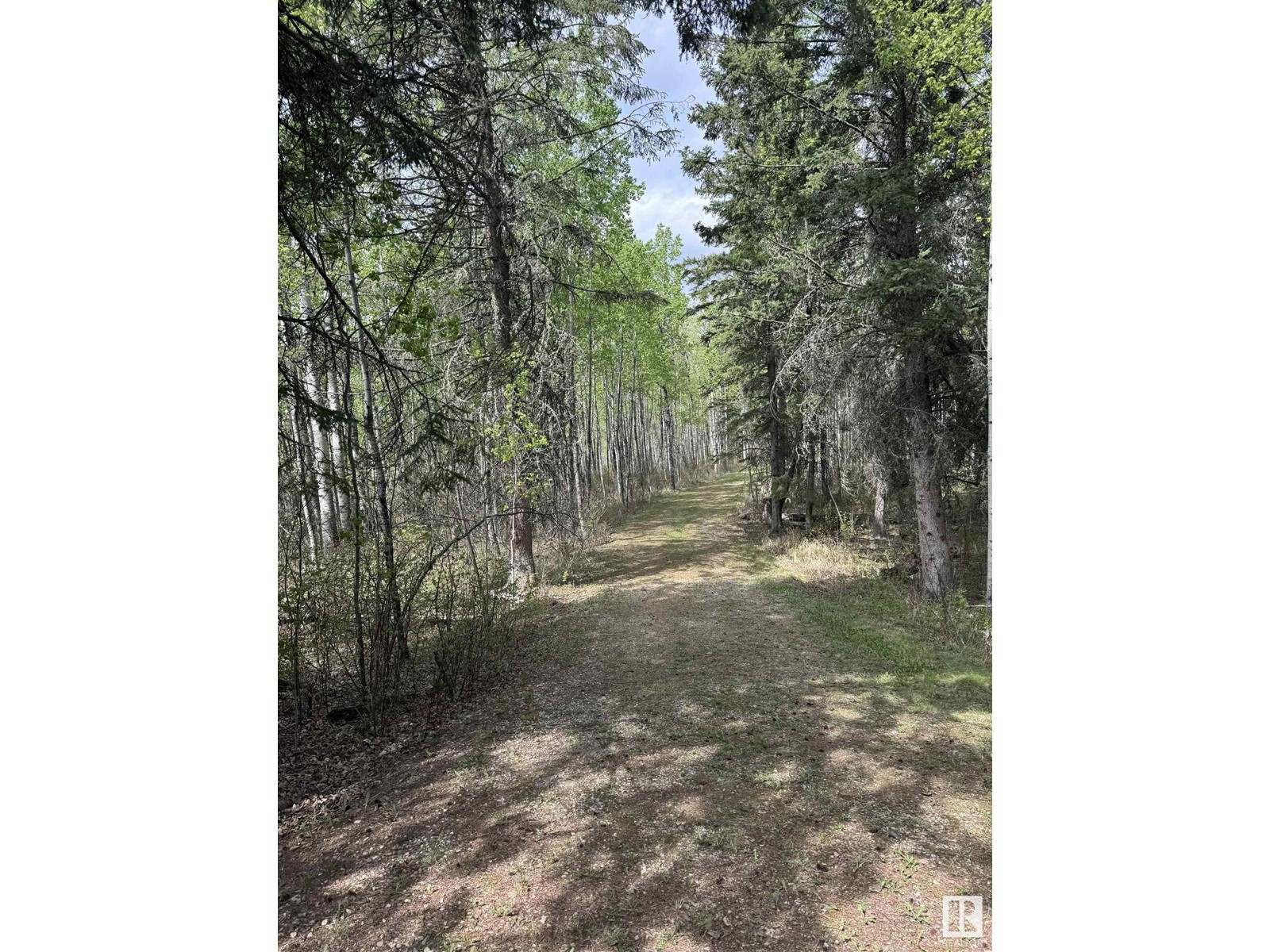 51414 Rge Road 53, Rural Parkland County, Alberta  T0E 2H0 - Photo 14 - E4436096