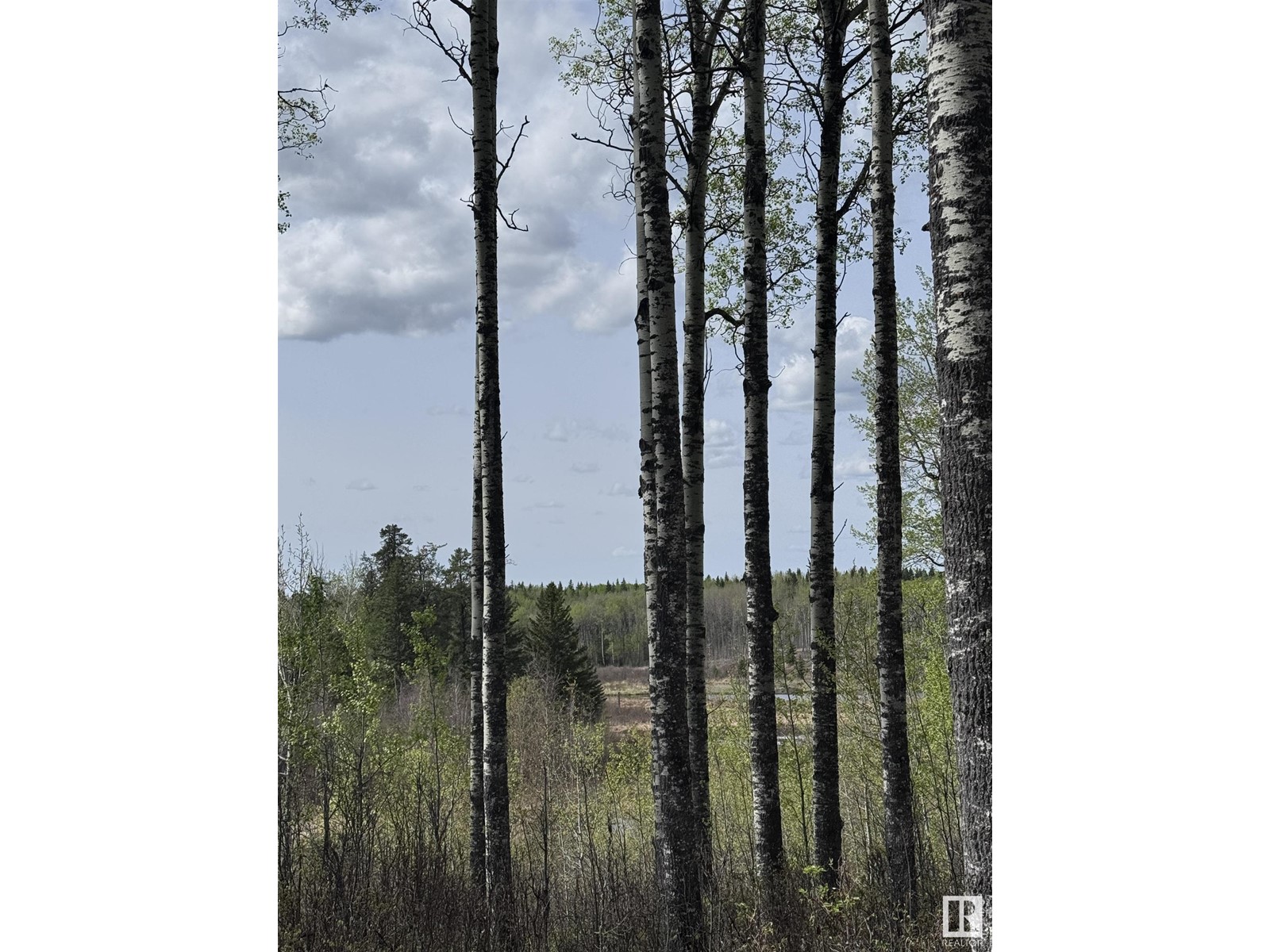 51414 Rge Road 53, Rural Parkland County, Alberta  T0E 2H0 - Photo 16 - E4436096