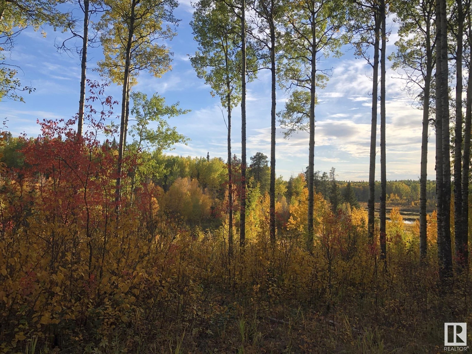 51414 Rge Road 53, Rural Parkland County, Alberta  T0E 2H0 - Photo 18 - E4436096