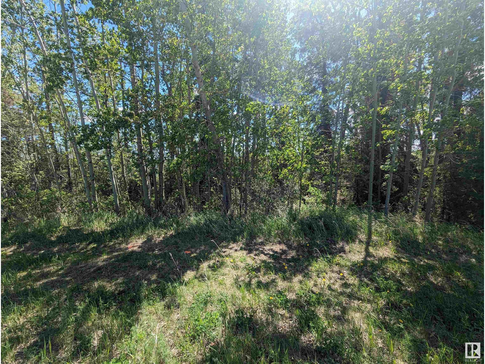 Hwy 633 Range Rd 55, Rural Lac Ste. Anne County, Alberta  T0E 0L0 - Photo 11 - E4436380