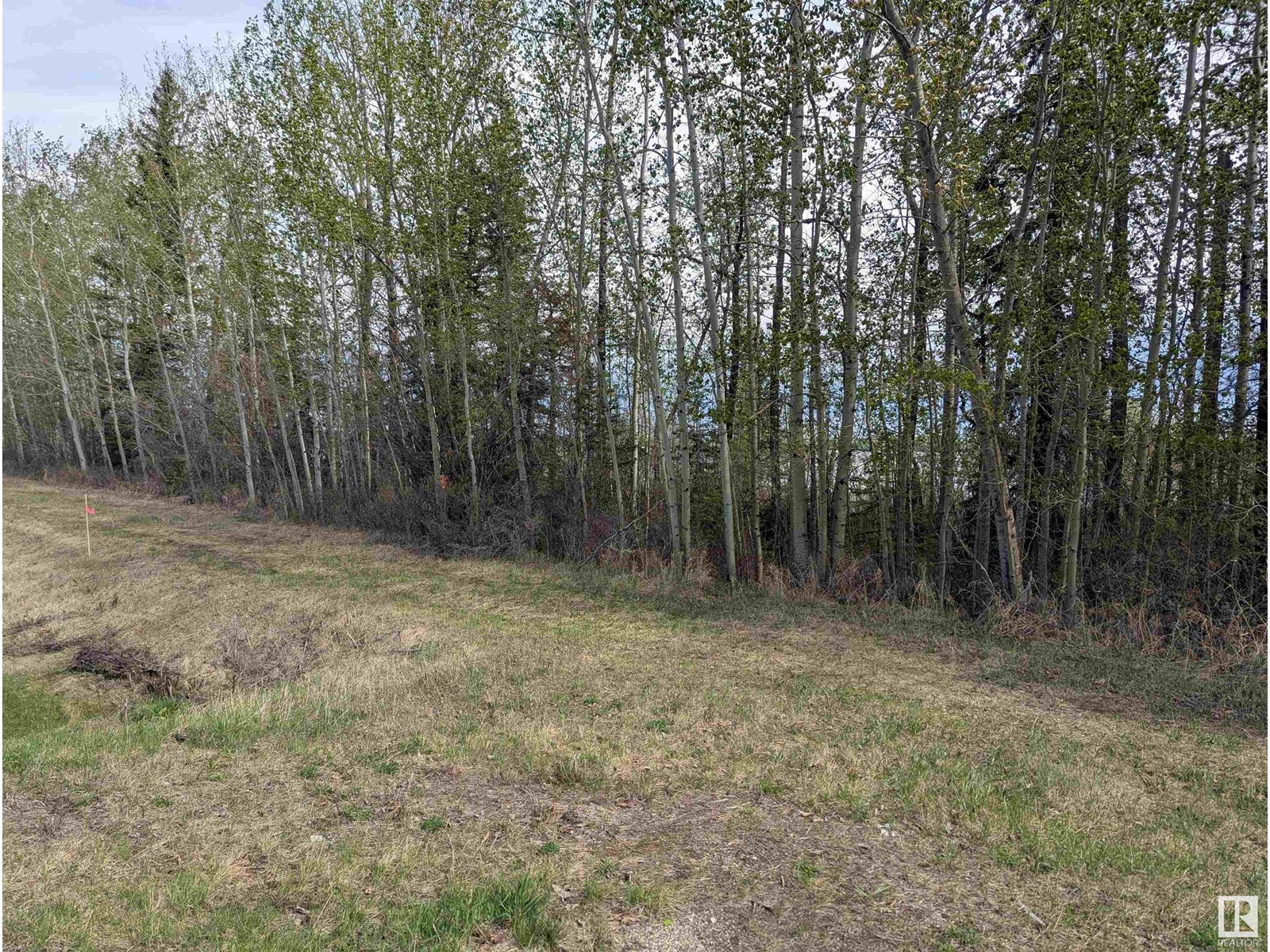 Hwy 633 Range Rd 55, Rural Lac Ste. Anne County, Alberta  T0E 0L0 - Photo 19 - E4436380