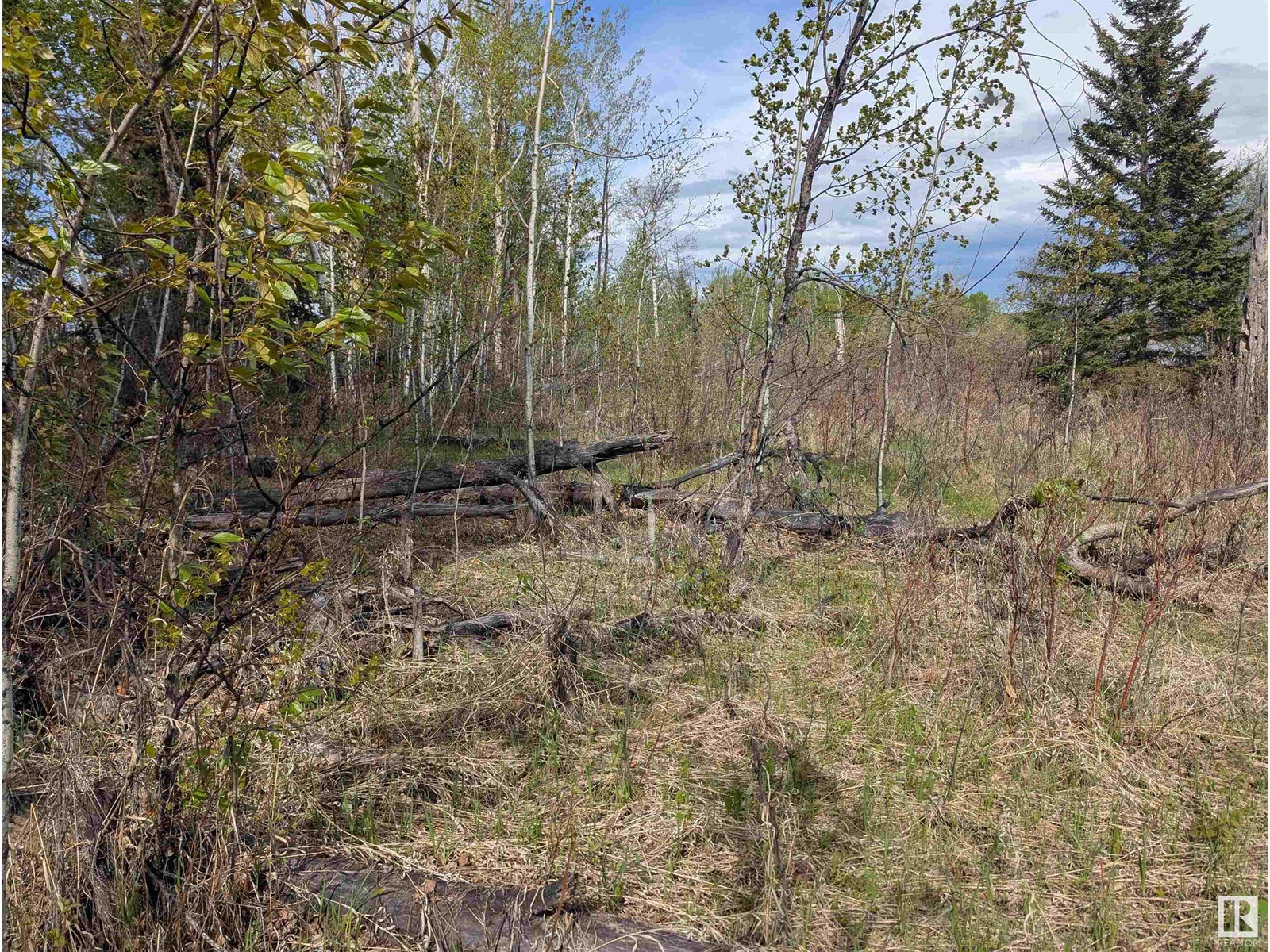 Hwy 633 Range Rd 55, Rural Lac Ste. Anne County, Alberta  T0E 0L0 - Photo 22 - E4436380