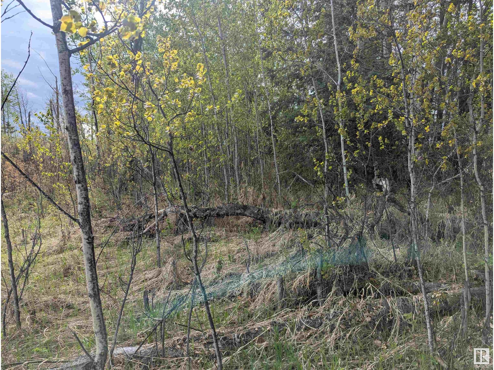 Hwy 633 Range Rd 55, Rural Lac Ste. Anne County, Alberta  T0E 0L0 - Photo 24 - E4436380