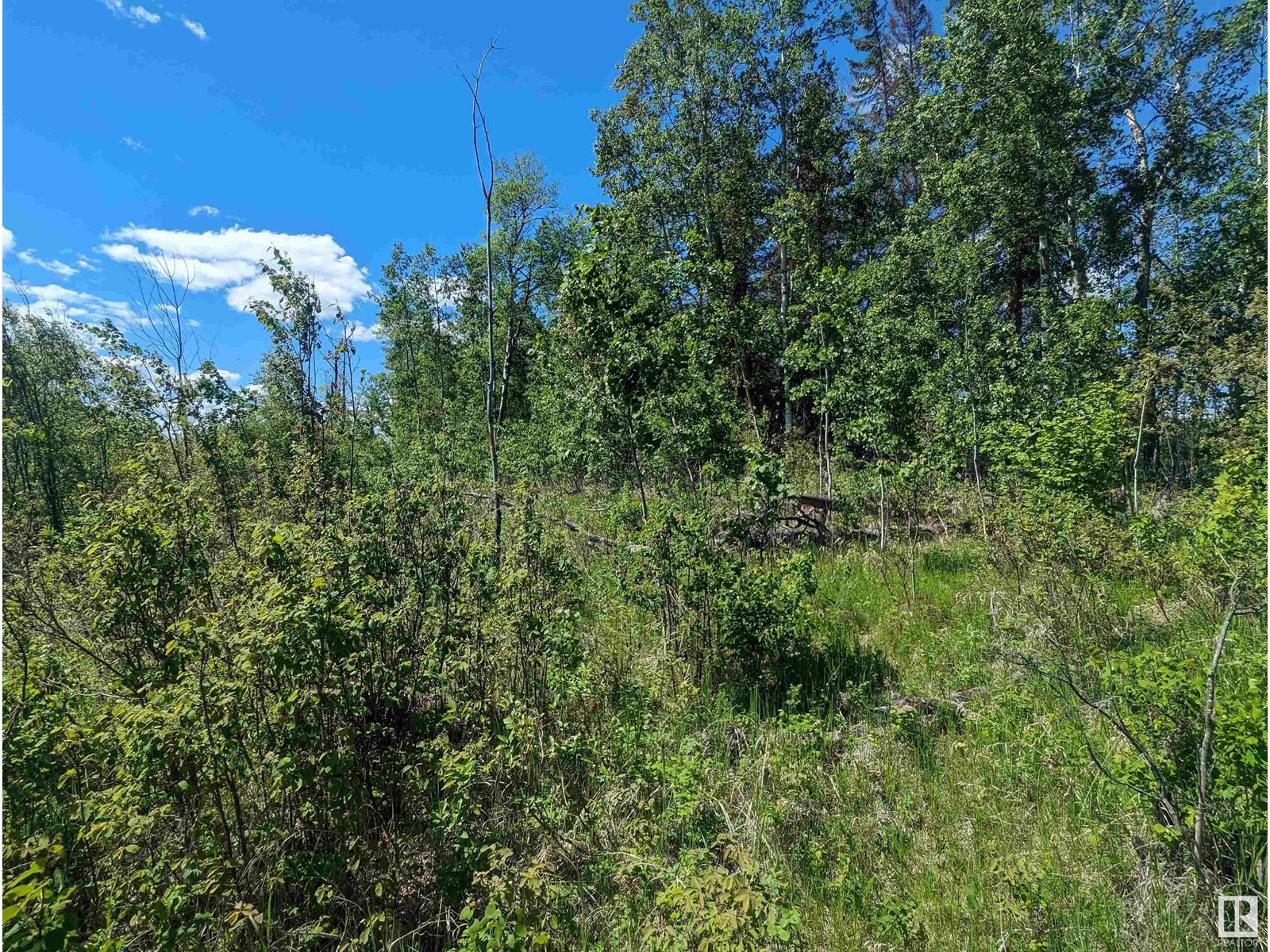 Hwy 633 Range Rd 55, Rural Lac Ste. Anne County, Alberta  T0E 0L0 - Photo 6 - E4436380