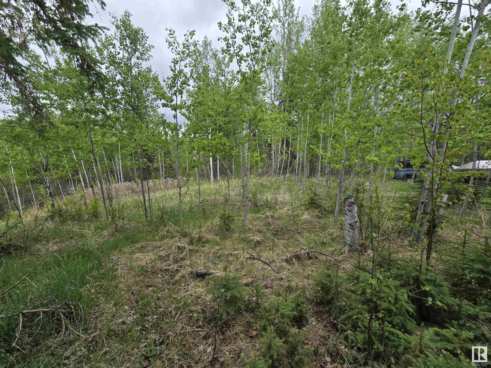 58 & 54 Lakeview Av, Rural Lac Ste. Anne County, Alberta  T0E 1H0 - Photo 9 - E4437050