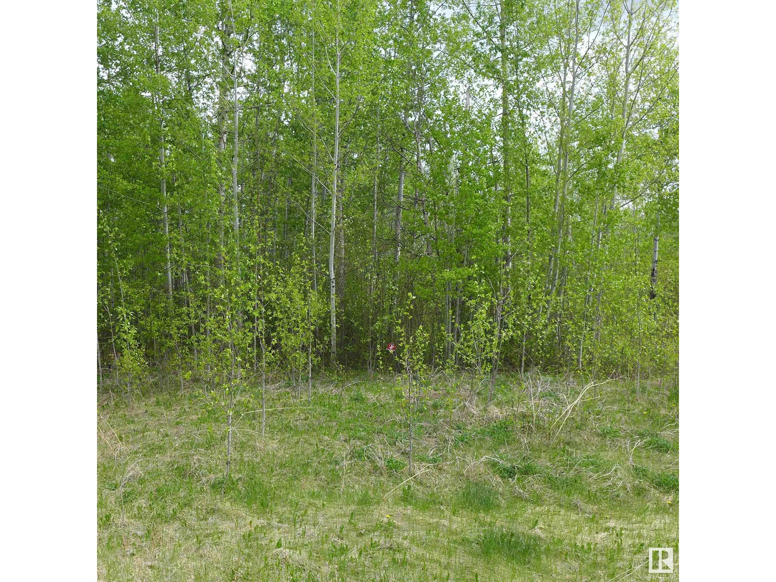 23 11032 - Hwy 13, Rural Wetaskiwin County, Alberta  T0C 2V0 - Photo 2 - E4437239