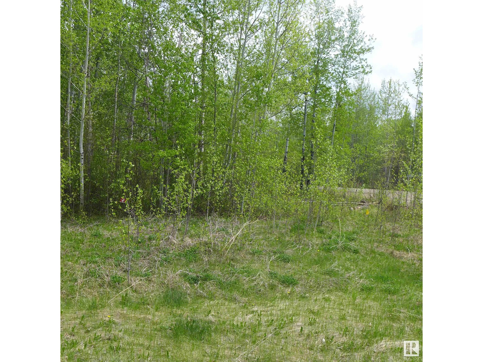 23 11032 - Hwy 13, Rural Wetaskiwin County, Alberta  T0C 2V0 - Photo 3 - E4437239