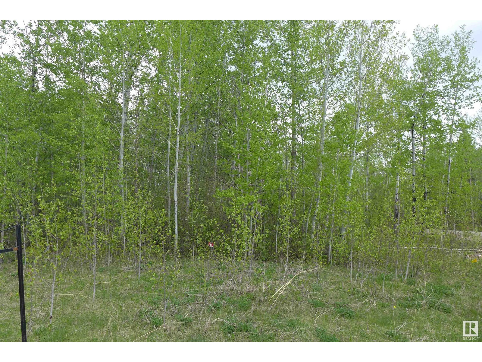 23 11032 - Hwy 13, Rural Wetaskiwin County, Alberta  T0C 2V0 - Photo 4 - E4437239