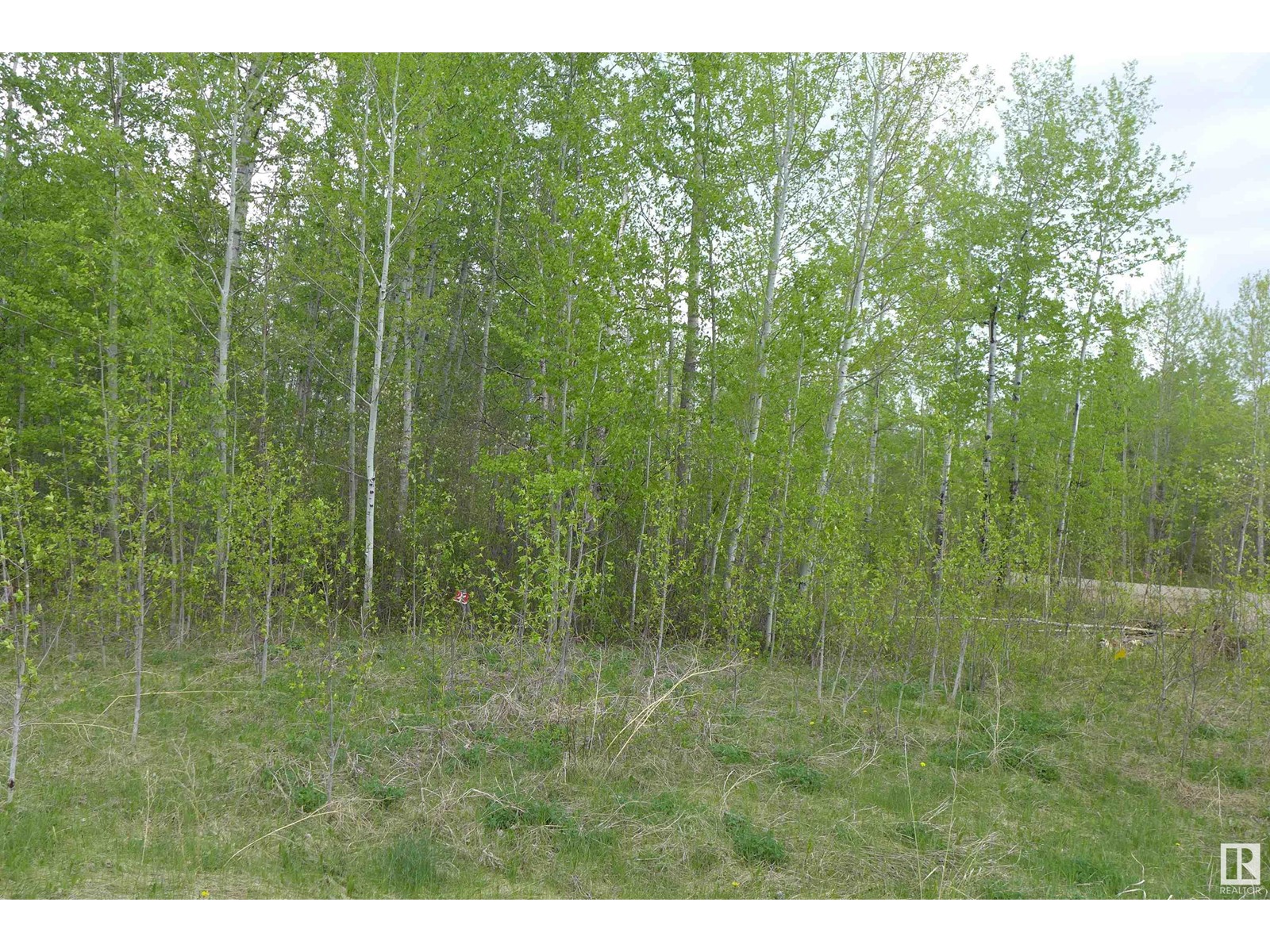 23 11032 - Hwy 13, Rural Wetaskiwin County, Alberta  T0C 2V0 - Photo 5 - E4437239