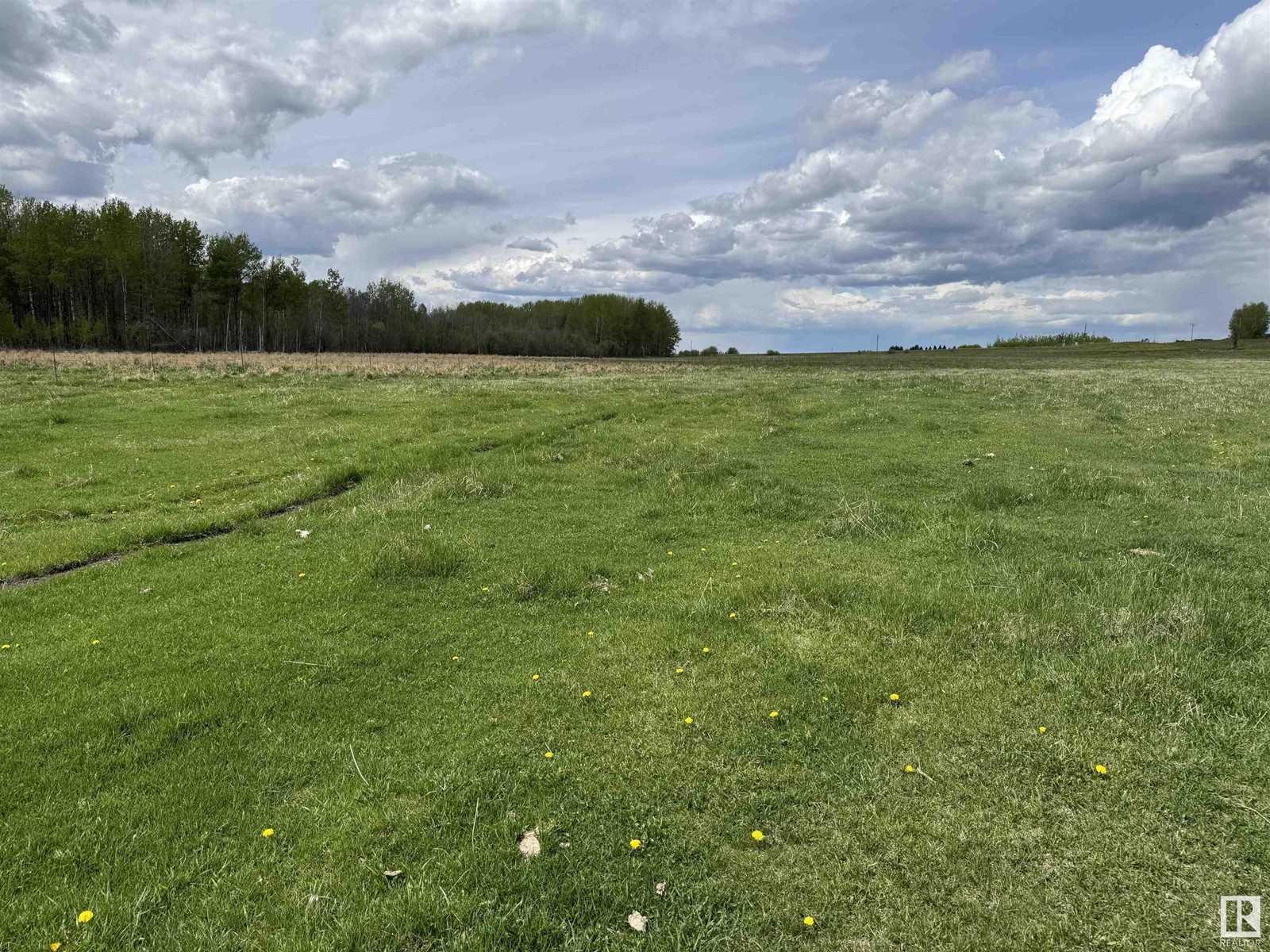 5519 Hwy 616, Rural Brazeau County, Alberta  T0C 0S0 - Photo 24 - E4437295