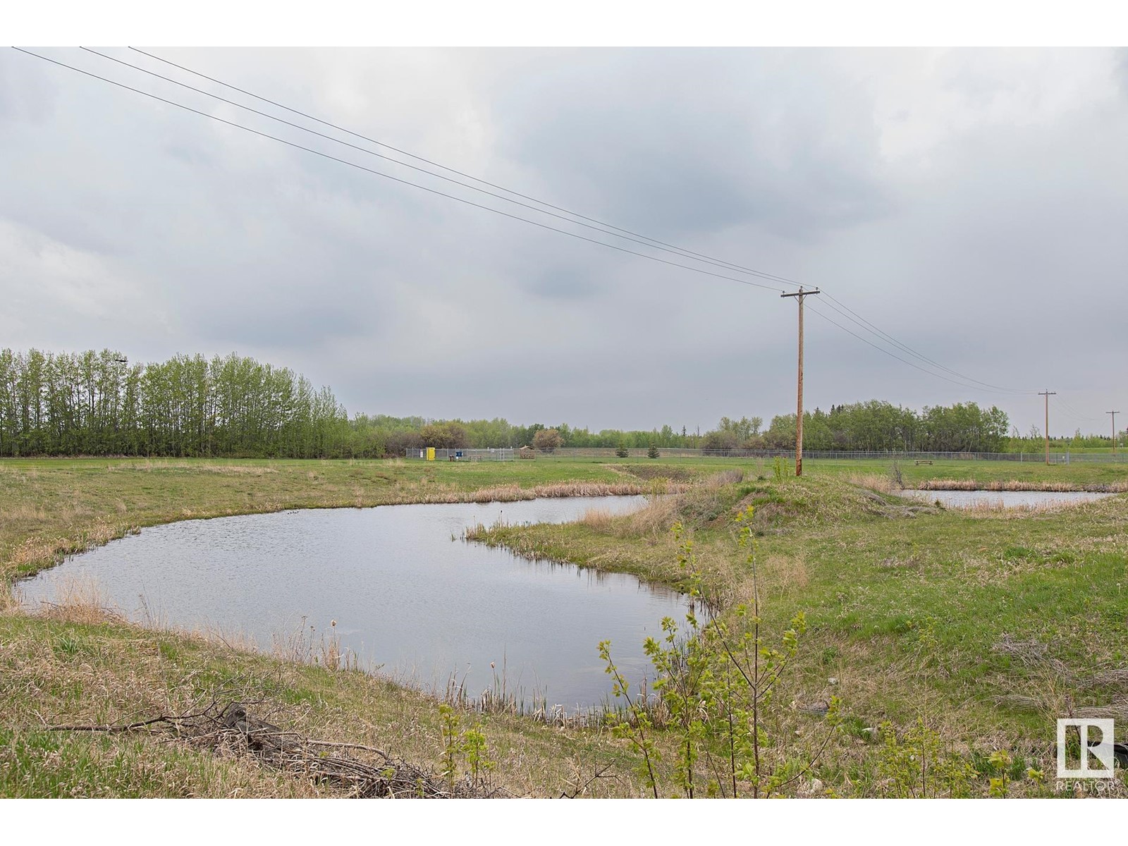 67 Westview Cr, Calmar, Alberta  T0C 0V0 - Photo 50 - E4438005
