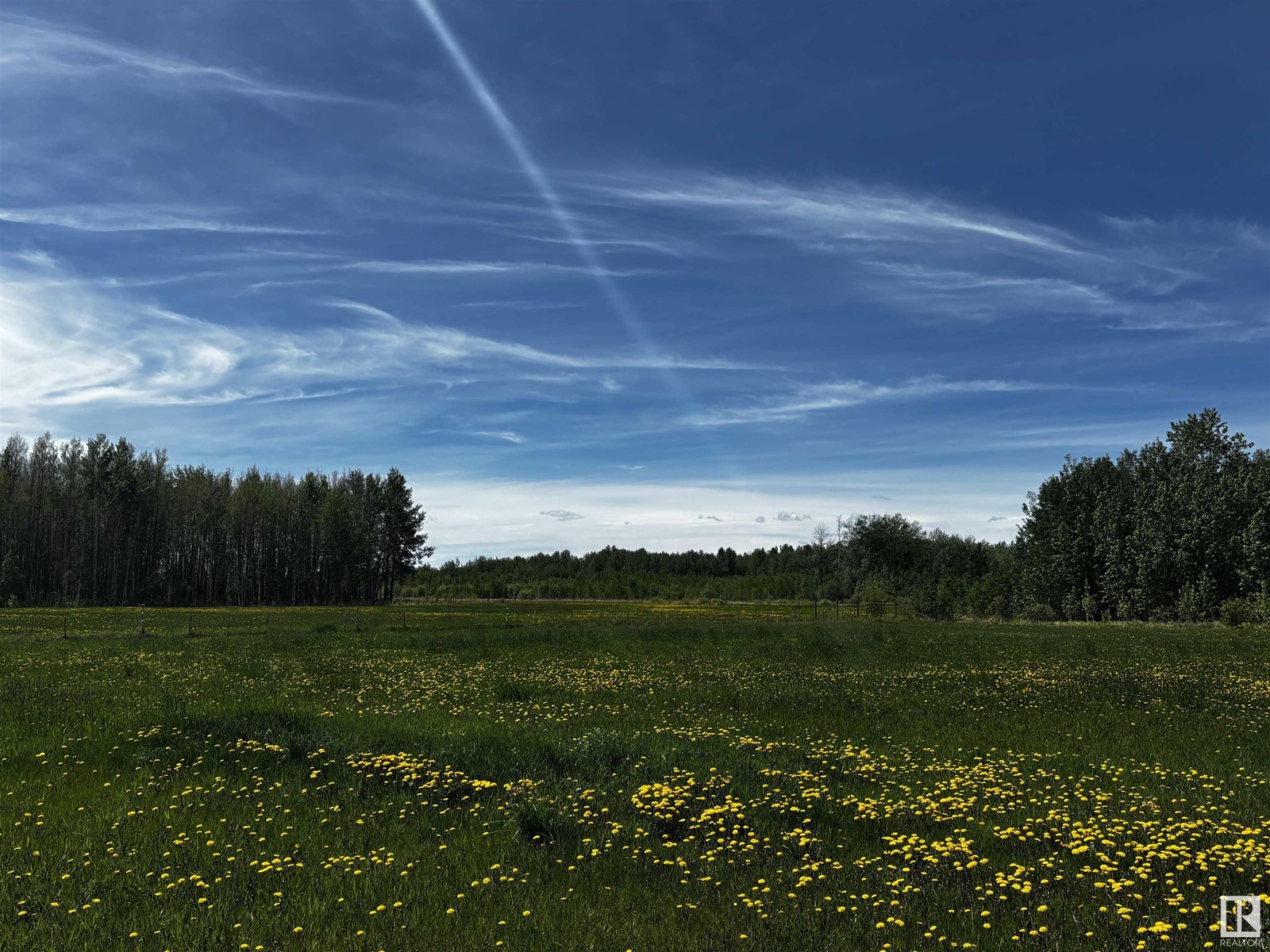 48112 Range Road 55, Rural Brazeau County, Alberta  T0C 0S0 - Photo 36 - E4438770